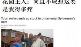 今日外网爆料新闻最新,揭秘今日重大国际新闻事件